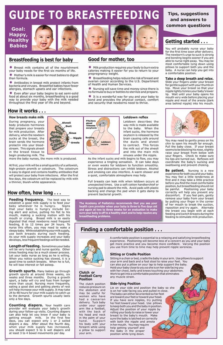 GUIDE TO BREASTFEEDING FRONT