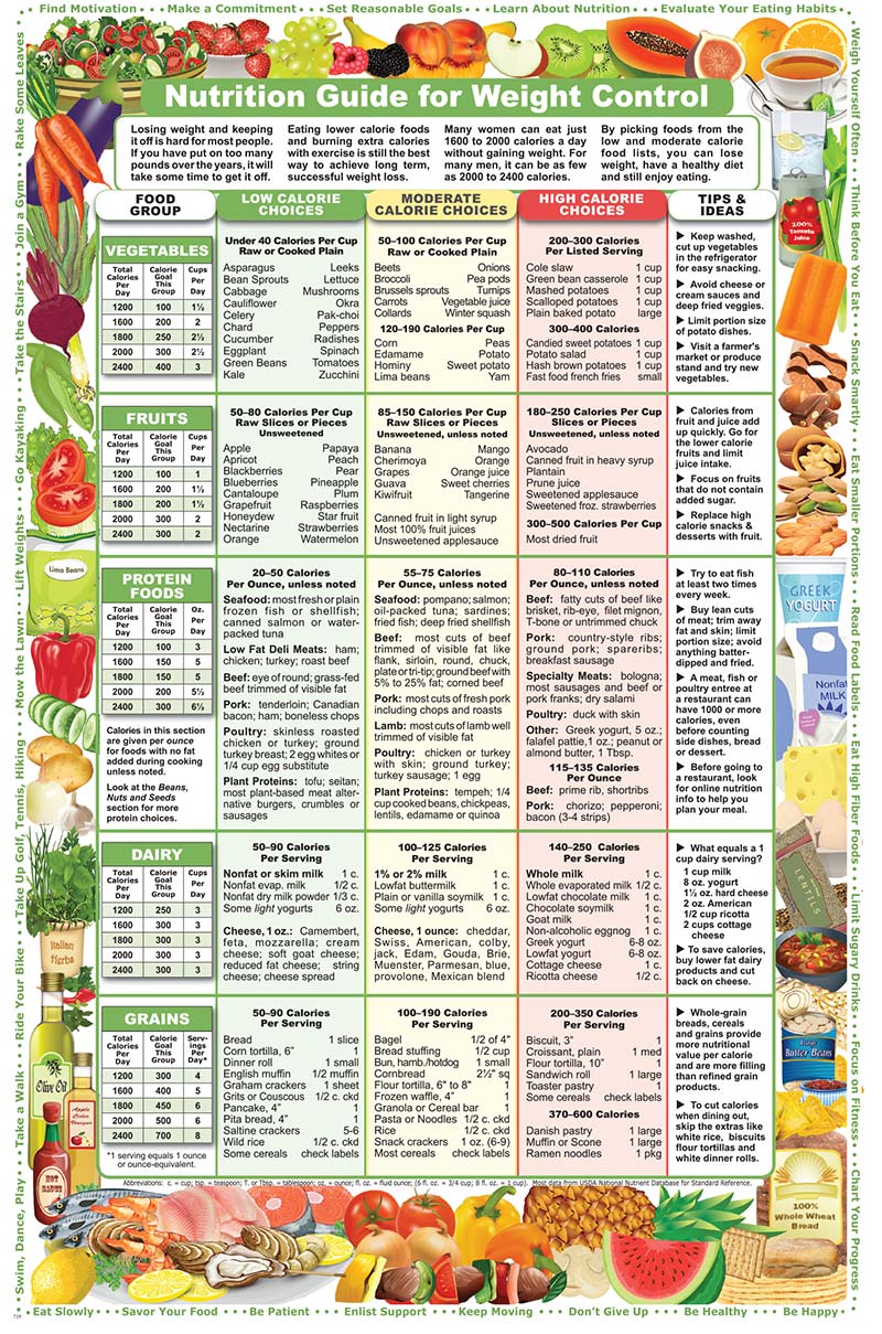 Shop the Catalog – Nutrition Graphics